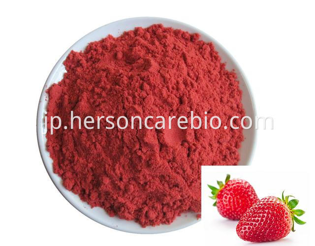 製造工程 Freeze Drying Production